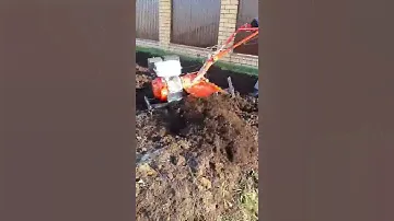 Утро начала с чая лёгкое движение. Чтобы летать по жизни, а не ползти. #чай